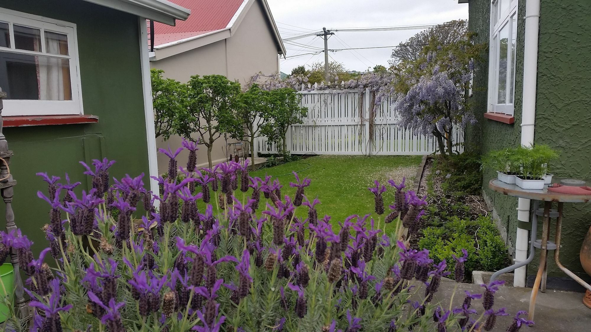 Designer Cottage Christchurch Exterior photo
